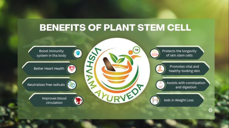 Visvam Ayurveda तेजी से उभरती डायरेक्ट सेलिंग कंपनी : प्लांट बेस्ड स्टेम सेल टेक्नोलॉजी से स्वास्थ्य को मिल रहा नया सहारा